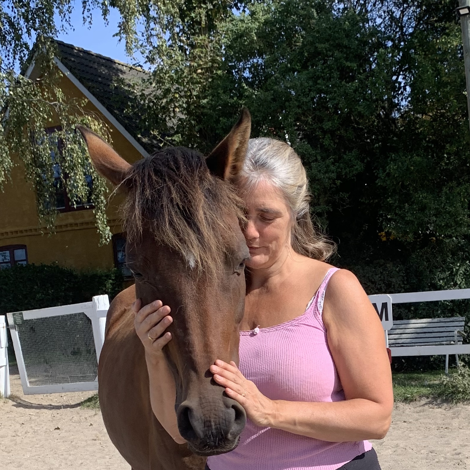 FATI OG HEST 2