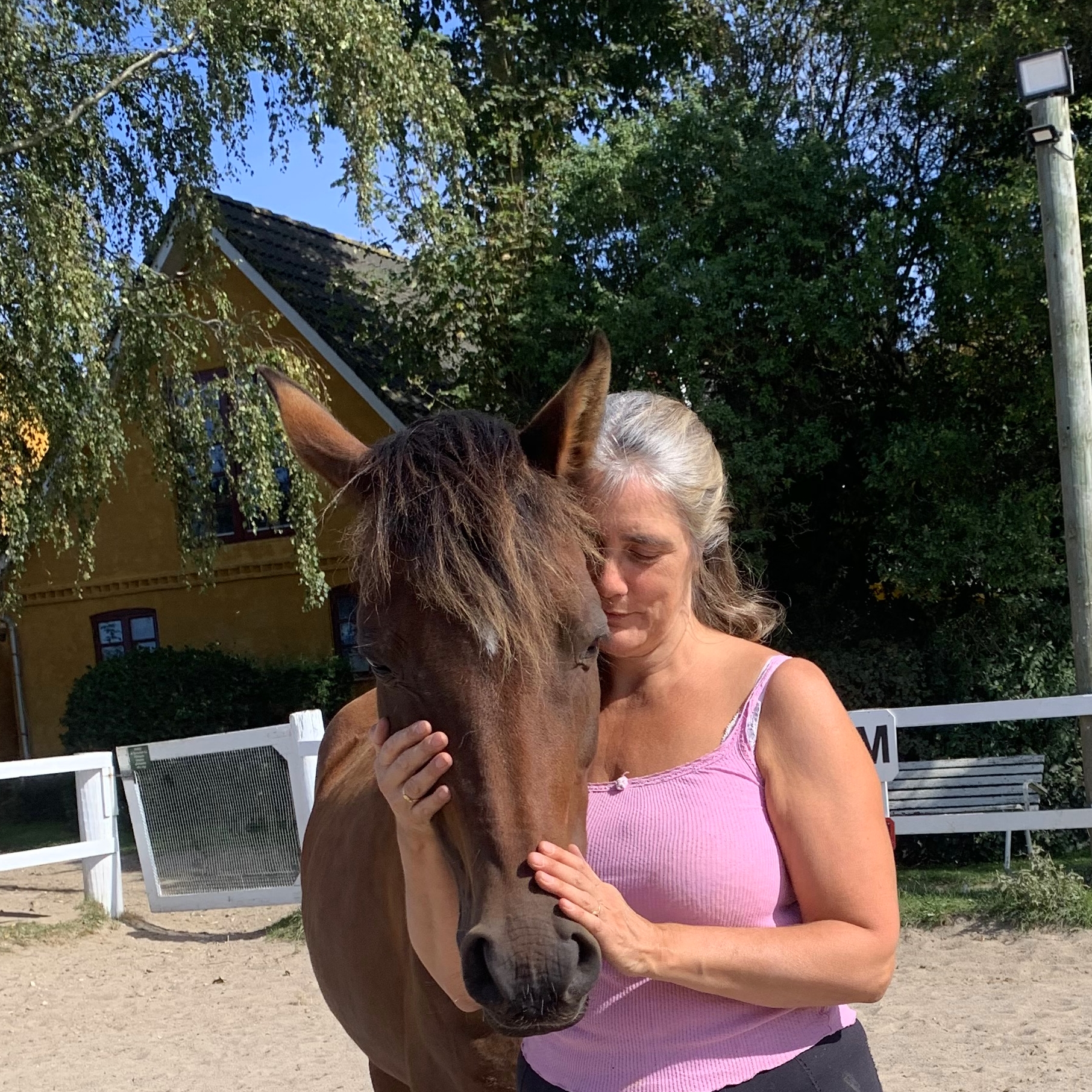 FATI OG HEST 3